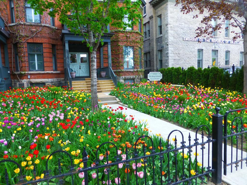 Auberge King Edward Bed And Breakfast Ottawa Ruang foto