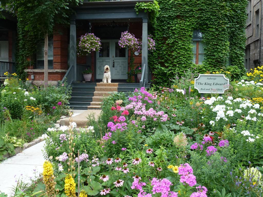 Auberge King Edward Bed And Breakfast Ottawa Bagian luar foto